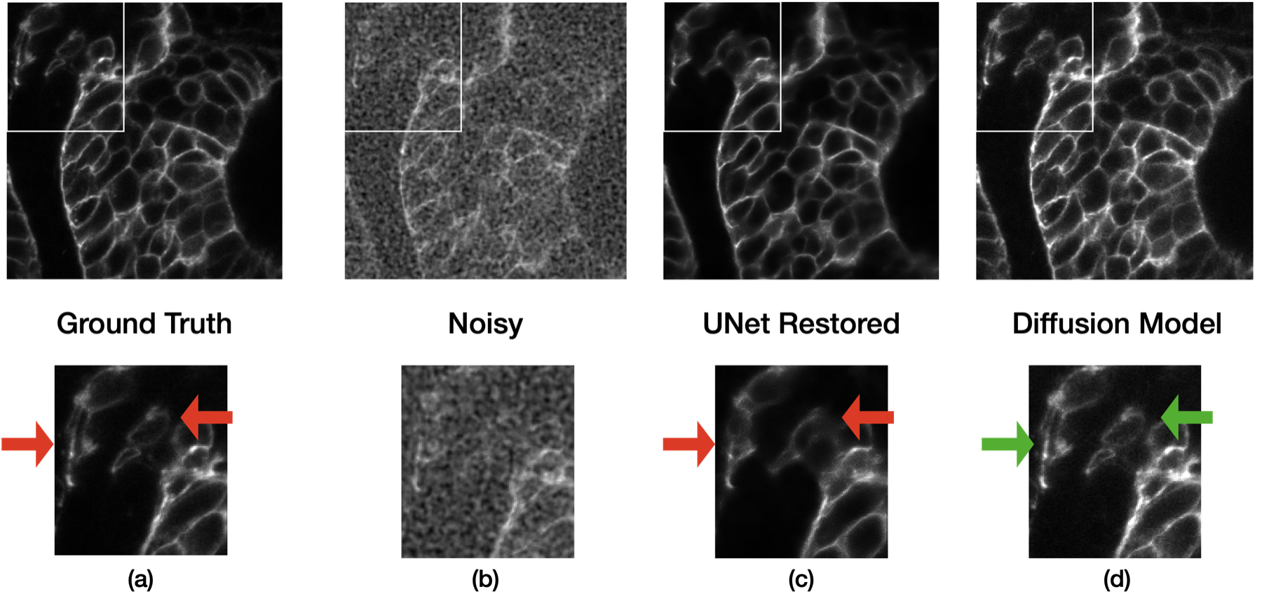 Latent diffusion dehazing: regression-to-the-mean motivation and iterative restoration