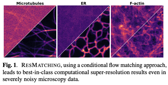 HazeMatching: Conditional Flow Matching for microscopy dehazing