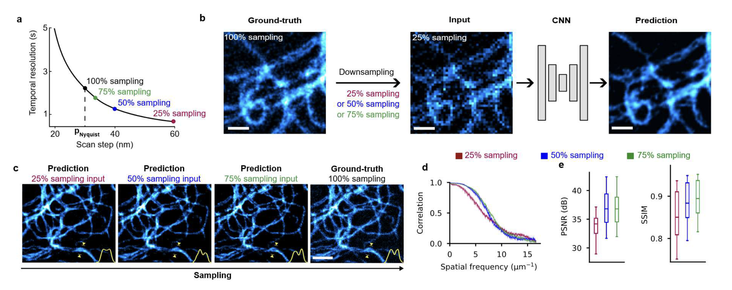 RESOLFT time lapse imaging empowered by deep learning